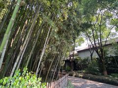 -乌镇东栅景区