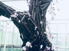 -上海鲜花港
