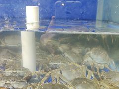 -阳澄湖大闸蟹·琼灵阁牌品牌连锁(吴中总店)