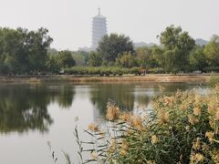 -永定河休闲森林公园