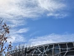 -首都医科大学附属北京天坛医院