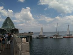 -烟台海昌鲸鲨海洋公园