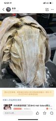 点击看大图 -BHG Hair Salon