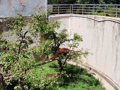 -青藏高原野生动物园