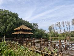 -溱湖国家湿地公园