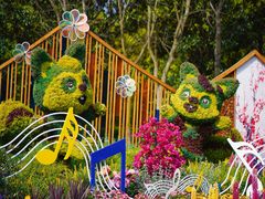 -上海共青森林公园