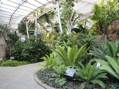 -北京植物园-展览温室