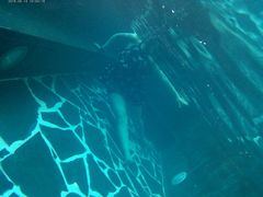 -平顶山海悦汤泉生活馆