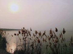 -天津东丽湖风景区