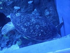 -成都浩海立方海洋公园