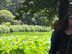 -韶山毛泽东同志故居