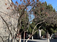 -洛阳周公庙博物馆