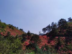 -木兰云雾山