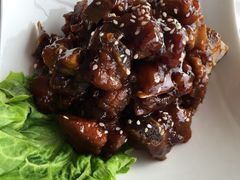 -云中小雅