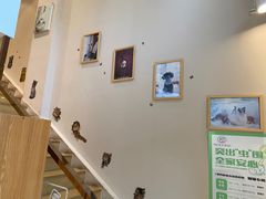 -Pets First伊珊娜洗护·精致美容·家庭式寄养(新会路店)
