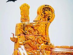 -故宫博物院(故宫)