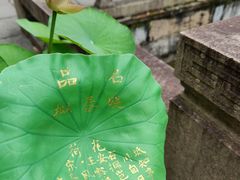 -上海醉白池公园