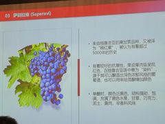 -广州四季酒店