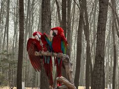 -北京野生动物园