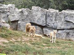 -北京野生动物园