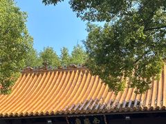 -南岳大庙