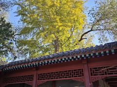 -北京石刻艺术博物馆(五塔寺)