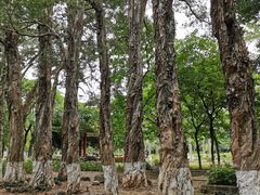 -广东外语外贸大学(白云山校区)