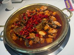 炝锅清江鱼-涿派·炝锅鱼(涿州店)