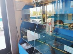 -上地宴·中关村的会客厅(清河高铁站店)