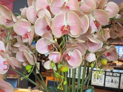 -八府香鸭·啫啫煲(华山路店)