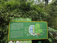 -柳州市动物园