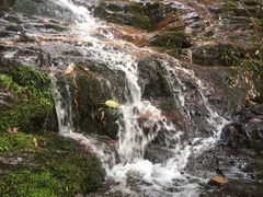 -永州阳明山国家森林公园