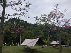 -云溪植物园