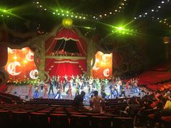 -珠海横琴长隆《卡卡虎奇遇记》