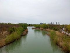-南湖国家城市湿地公园