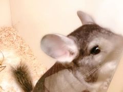 -龙猫仔乐园(惠福东路店)