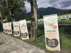 -瑞穗牧场