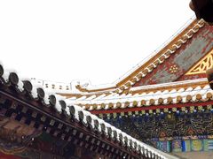 -颐和园