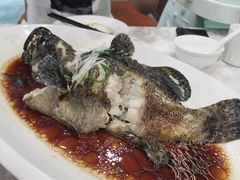 -海岛渔村大酒店(云霄路店)
