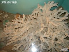 -亚龙湾中心广场·贝壳馆