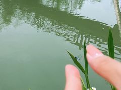 -乌村