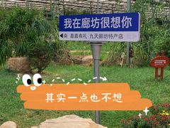 -九天休闲谷