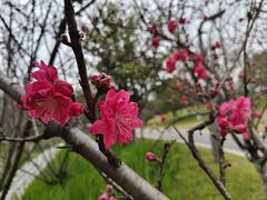 -洋湖国家湿地公园