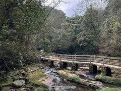 -碧峰峡风景区