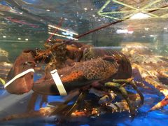 -盒马鲜生(莱蒙都会店)