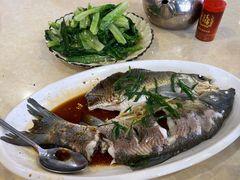 -开心农家菜