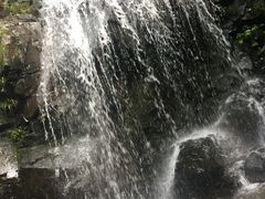 -藏龙百瀑风景区