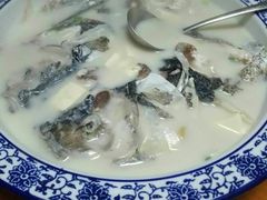 -全乐鱼馆·淳牌有机鱼直营店
