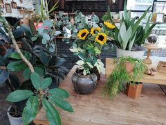 -北马山庄植趣咖啡