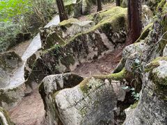 -山王坪喀斯特国家生态公园